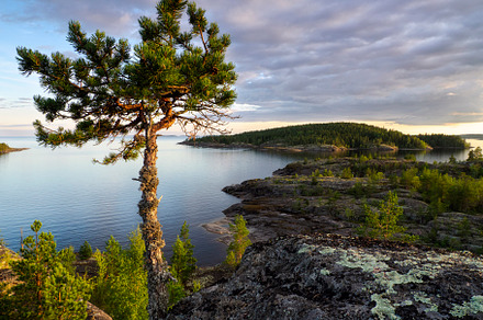 Evening of Ladoga skerries, a Nature Photo by photoWorkshop
