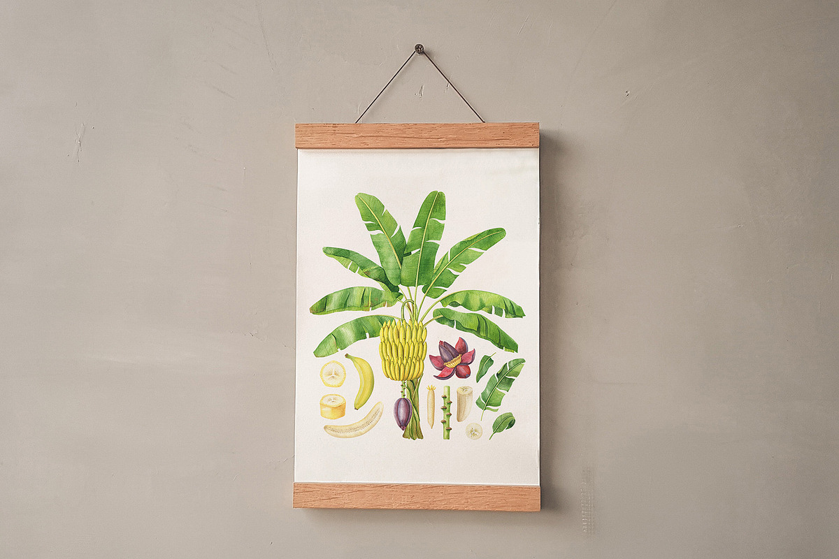 Banana Watercolor Clipart Set, a Food Illustration by Natalia Fedorova (Photo 4 of 8)