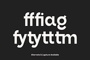 Segala - Family Sans Font, a Sans Serif Font by Marvadesign (Thumbnail 10 of 11)