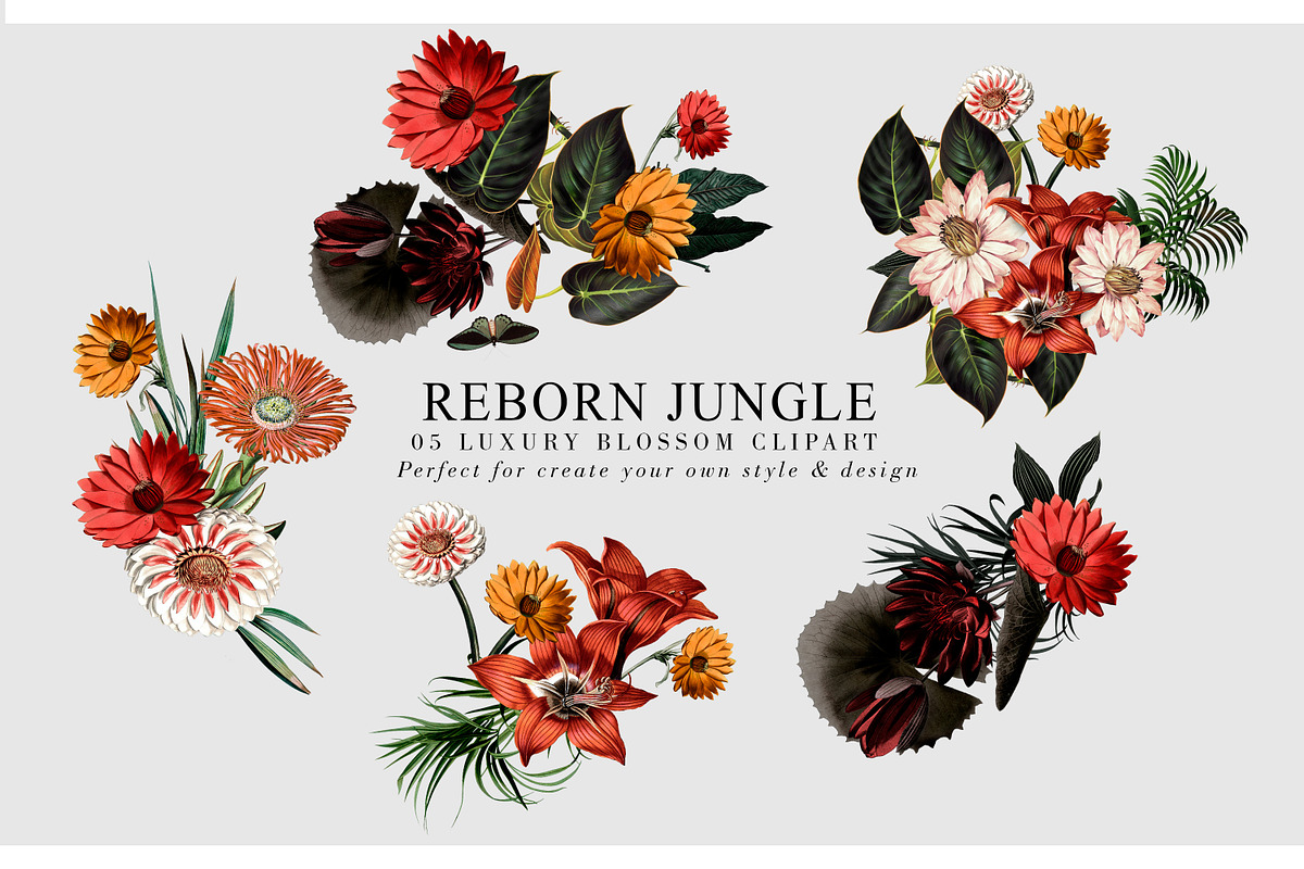 Reborn Jungle, a Work Illustration by Luiz da Rolt Grathwohl (Photo 5 of 10)