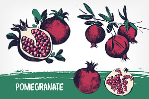 Pomegranates, hand-drawn set, a Decorative Illustration by Good Studio