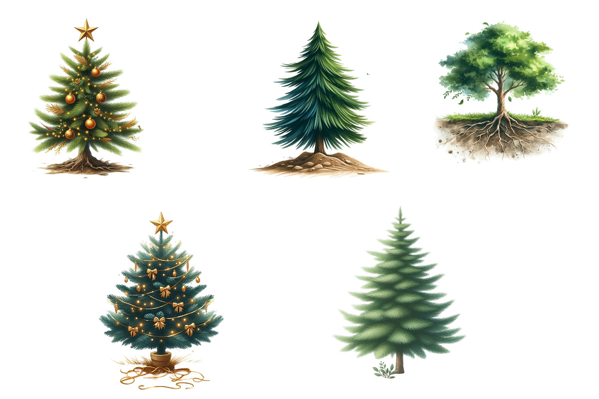 Watercolor Christmas Tree Clipart, an Illustration by CrexoraLab (Photo 3 of 5)