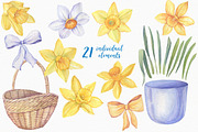 Watercolor Daffodils, an Illustration by Irina Diasli (Thumbnail 3 of 6)