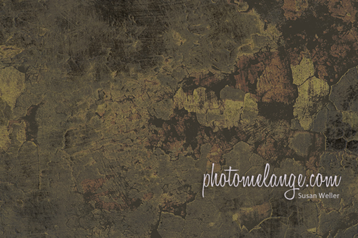 Photomelange Bushed Textures 12 x 16 preview 8