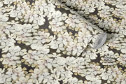 Painted Floral Wallpaper, a Wallpaper Graphic by Webvilla Studio (Thumbnail 2 of 6)