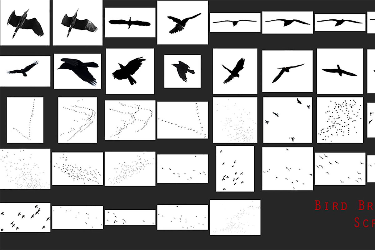 Bird Brushes and Overlays Vol II preview 2