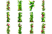 Watercolor Bamboo Stalk Clipart, an Illustration by DreamArtGraphic (Thumbnail 2 of 4)