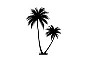 Palm Tree Vector Bundle Pack, an Illustration by Artivon (Thumbnail 5 of 20)