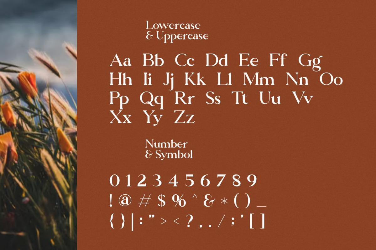 Dalgona Candy Modern/Vintage Font, a Serif Font by Typegoals Studio (Photo 6 of 8)