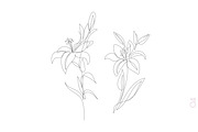 One Line Rose Flower Illustrations, a Decorative Illustration by Alina Kruss (Thumbnail 8 of 9)