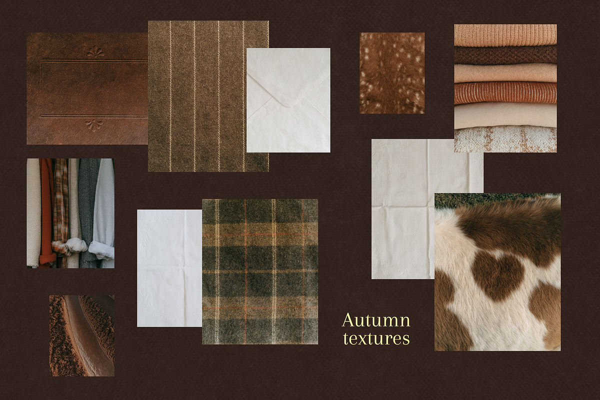 90+ Autumn Stock Photos, a Nature Photo by Trissa (Photo 12 of 12)