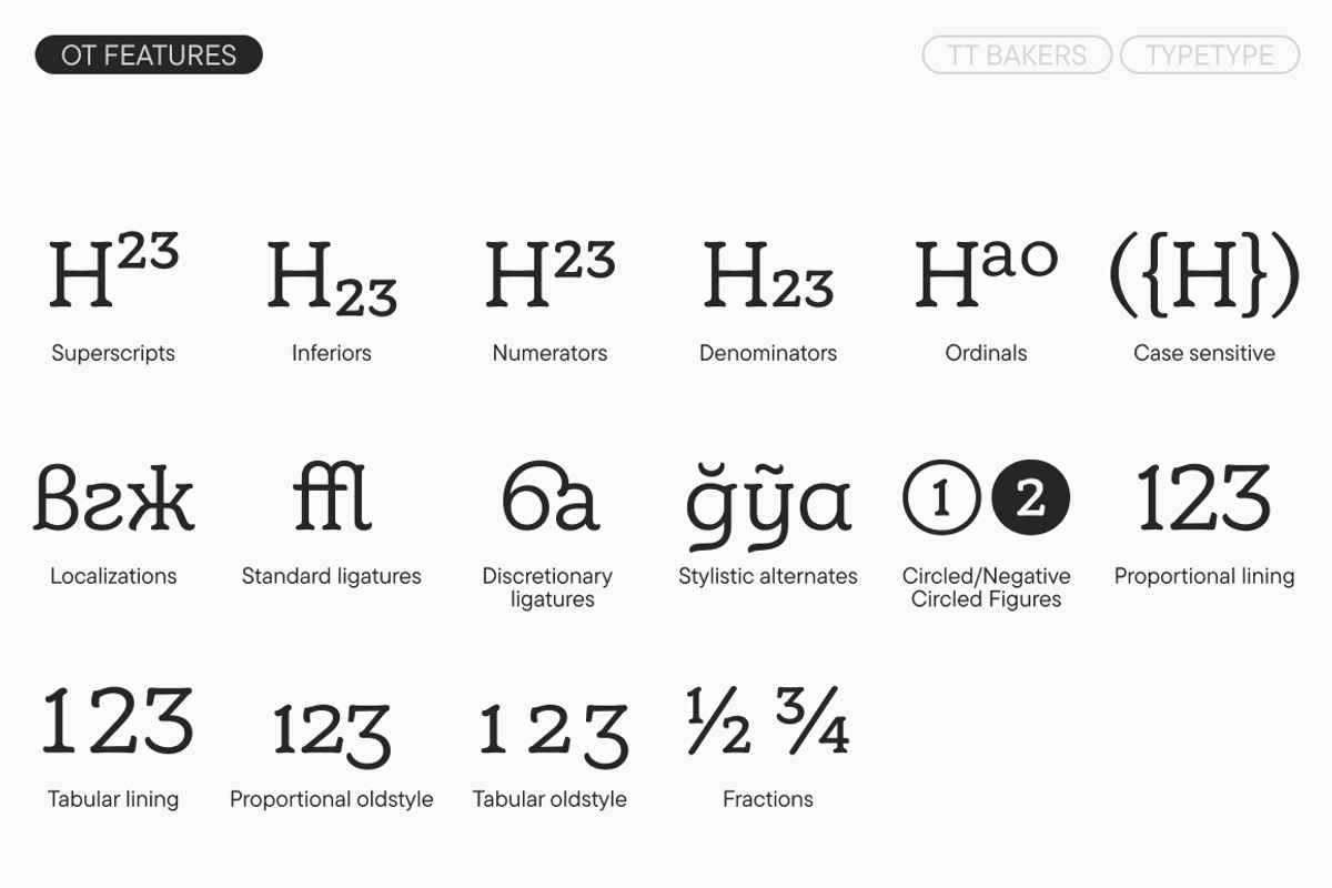 TT Bakers, a Serif Font by TypeType (Photo 12 of 15)