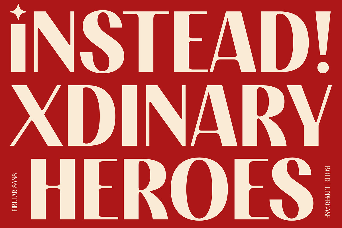 FIBULAR SANS - Variable Display Type, a Sans Serif Font by Artflorara (Photo 5 of 23)