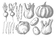 Vegetable collection, an Object Graphic by Siosay (Thumbnail 6 of 13)