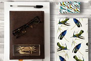 Digital paper antique birds 1, a Pattern Graphic by JAY MID IMAGE (Thumbnail 4 of 5)