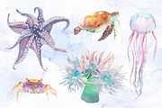 Watercolor set of underwater life, an Animal Illustration by Watercolor arts (Thumbnail 5 of 8)