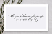 Magnolias Font, a Script Font by The Besotted Co (Thumbnail 2 of 4)
