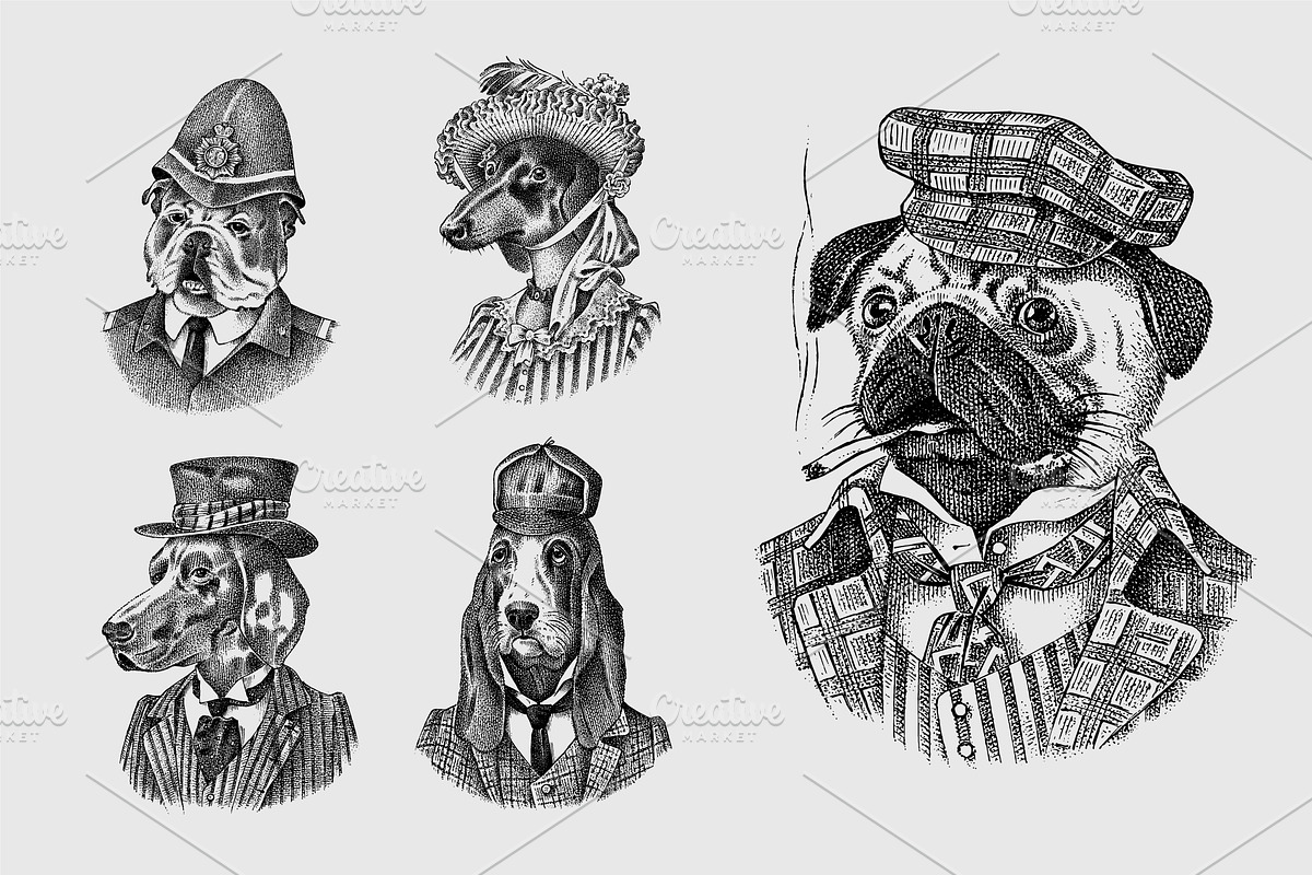 Fashion Dog. Animal character draw, an Animal Illustration by Arthur Balitskiy (Photo 2 of 2)