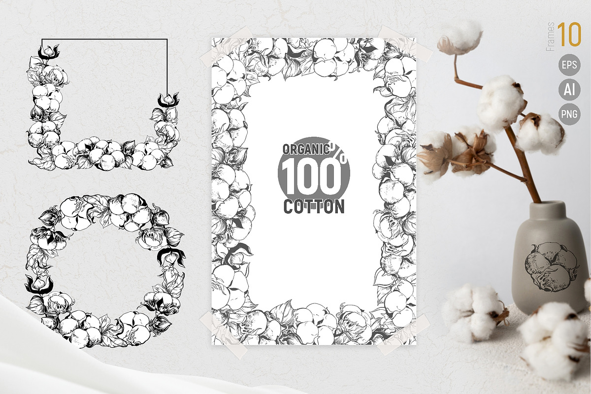 Soft Cotton. Vector engraving style., an Illustration by Tata Pilip (Photo 4 of 10)