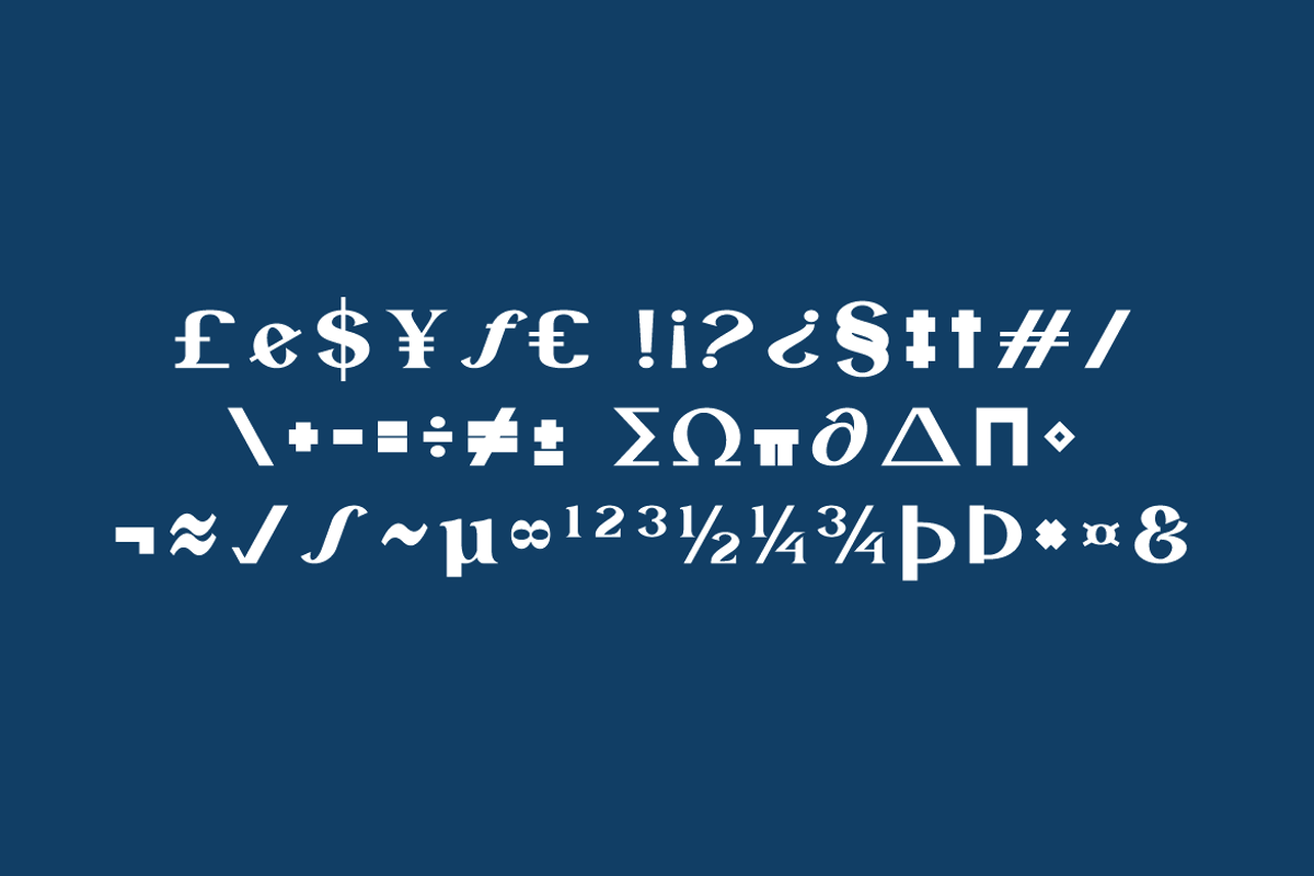 Rytnak - Luxury Retro Font, a Serif Font by QR Design Studio (Photo 13 of 15)