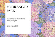 Hydrangea illustration pack, a Decorative Illustration by Schumacher Shop (Thumbnail 1 of 6)