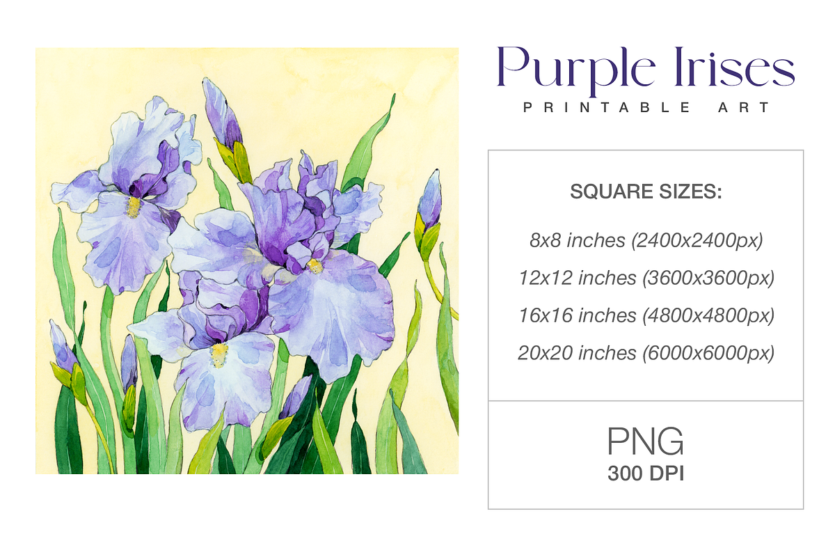 Watercolor Purple Irises Printable, a Decorative Illustration by Harmony Draws (Photo 2 of 3)