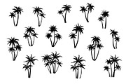 Large set of palm trees. 52 designs., a Decorative Illustration by VetaDesign (Thumbnail 2 of 4)