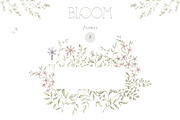 BLOOM Watercolor floral collection, a Decorative Illustration by Kreker Kate (Thumbnail 5 of 9)