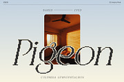 CS Asena Pixel, a Serif Font by Craft Supply Co. (Thumbnail 6 of 8)