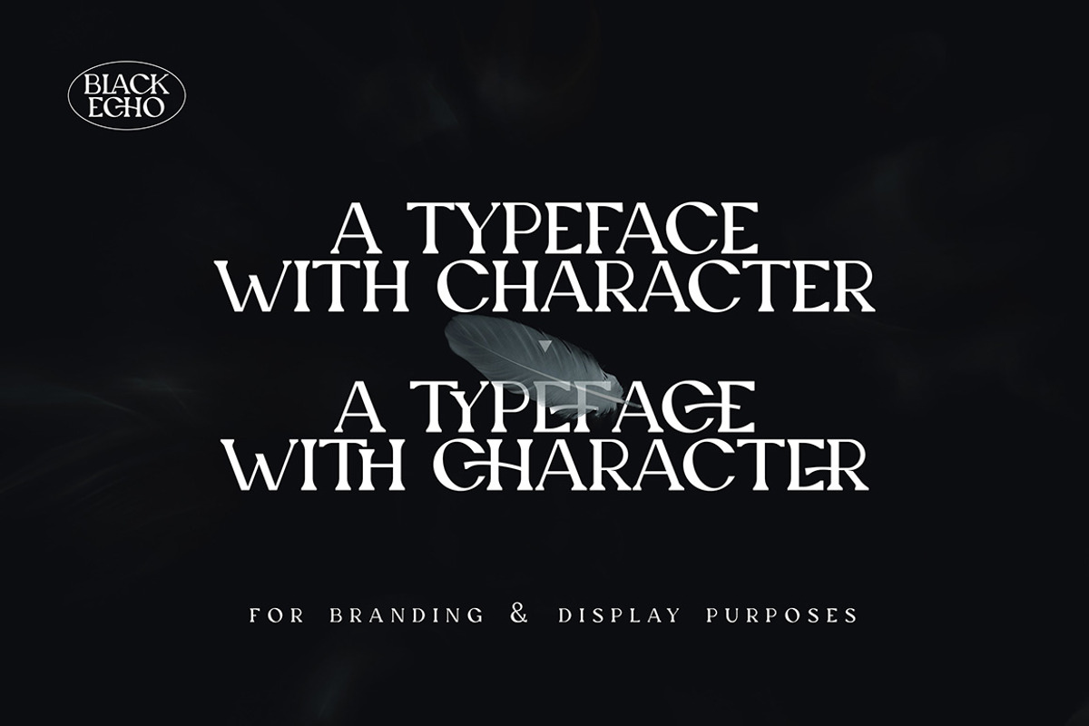 Black Echo Modern Ligature Font, a Font by AndrewPixelType (Photo 2 of 12)