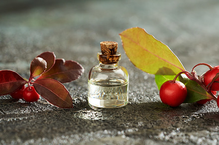 A bottle of wintergreen essential oil with wintergreen twigs, a Food & Drink Photo by Madeleine Steinbach