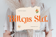 Marithin, a Serif Font by DYSA Studio (Thumbnail 10 of 15)