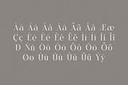 Velvet Shade – Elegant Serif Font, a Serif Font by BrandSemut (Thumbnail 8 of 8)