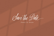 The Bloomington Font, a Script Font by Ivan Rosenberg (Thumbnail 12 of 12)