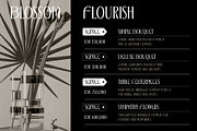 Bargonde | Elegant Serif Condensed, a Serif Font by Hole Hope Design (Thumbnail 14 of 20)