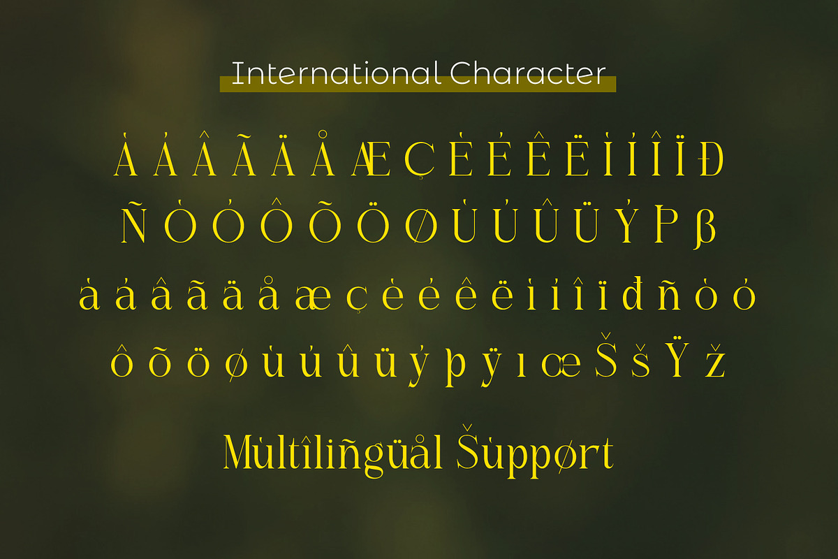 Gistabon, a Serif Font by Rishsketch (Photo 12 of 13)