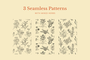 Tea Herb Illustrations Patterns