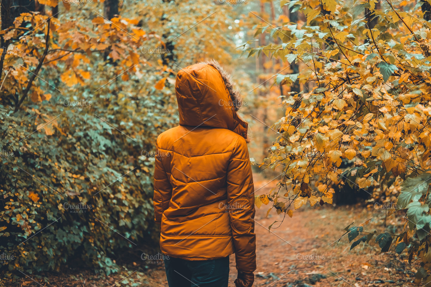 Walking in the autumn park stock photo containing autumn and camping, a Person Photo by Valeryia P.