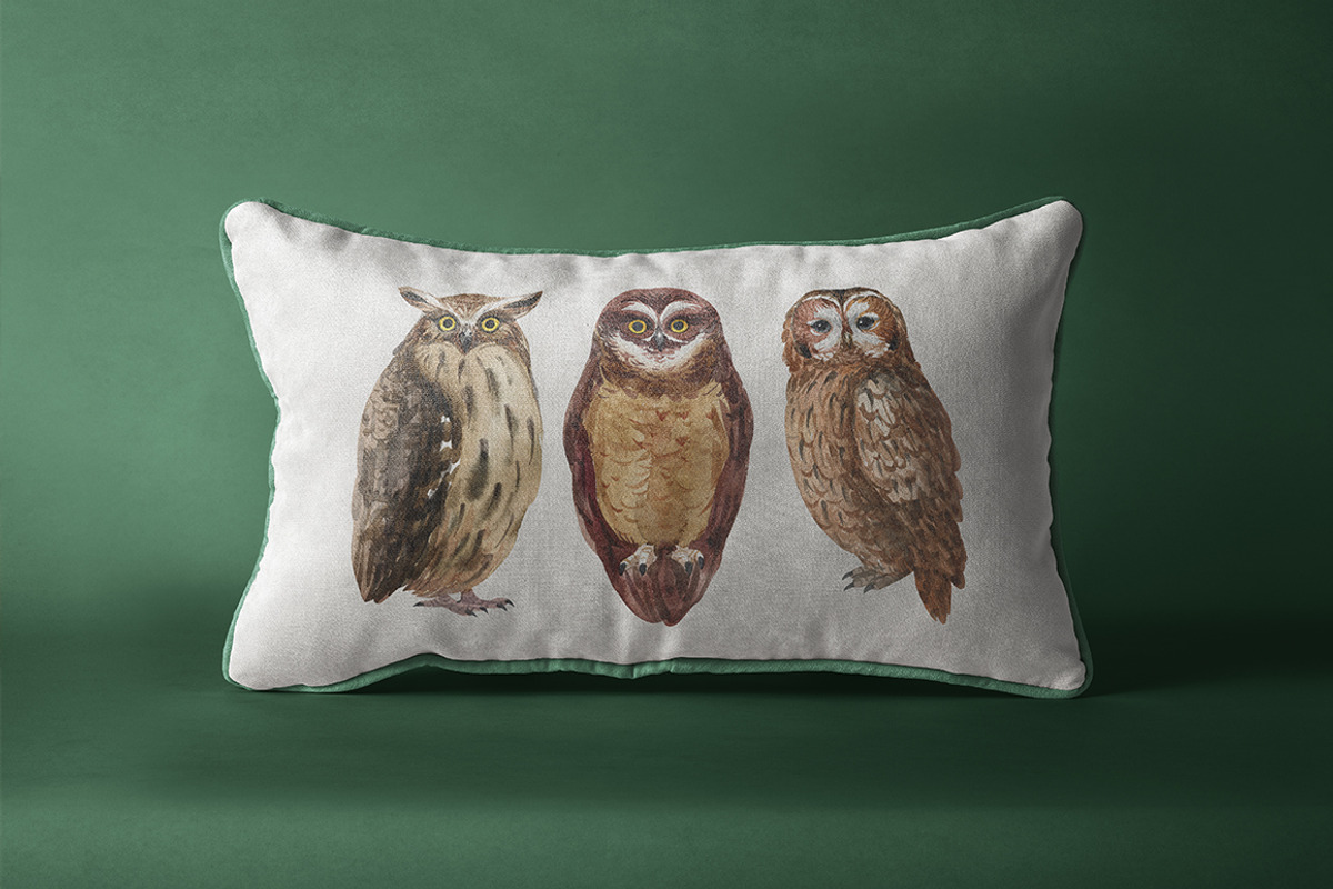 OWLS-watercolor illustrations, an Animal Illustration by KatBranchArt (Photo 5 of 5)