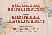 Wild Plants - Groovy Retro Display, a Font by Arendxstudio (Thumbnail 8 of 9)