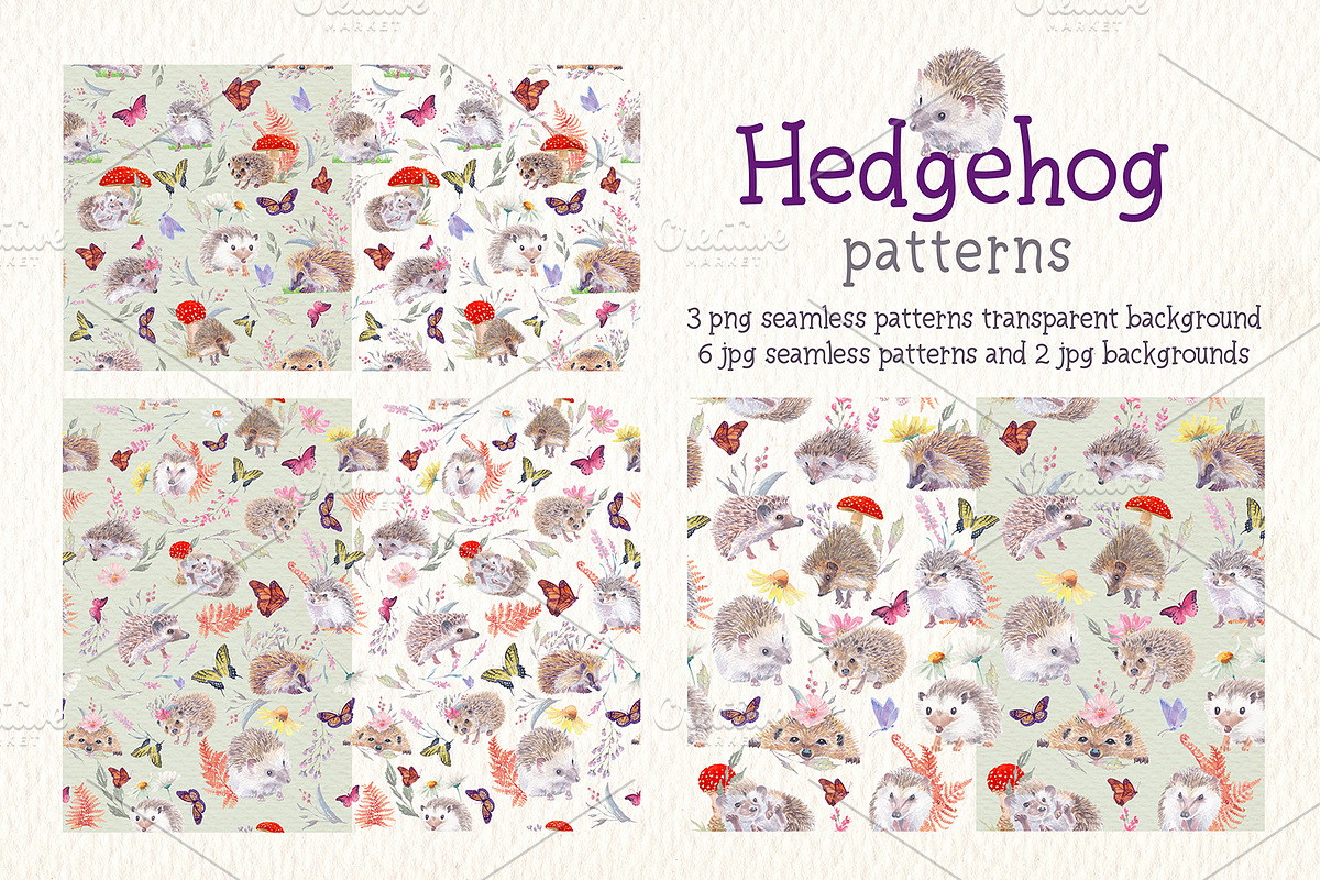 Hedgehog watercolor clipart, an Illustration by Art & Things (Photo 3 of 7)