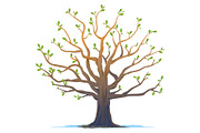 Set of oak tree in four seasons, an Illustration by Oceloti (Thumbnail 3 of 5)