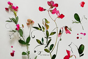 Midsummer - field flowers clipart, a Decorative Illustration by whiteheartdesign (Thumbnail 10 of 16)