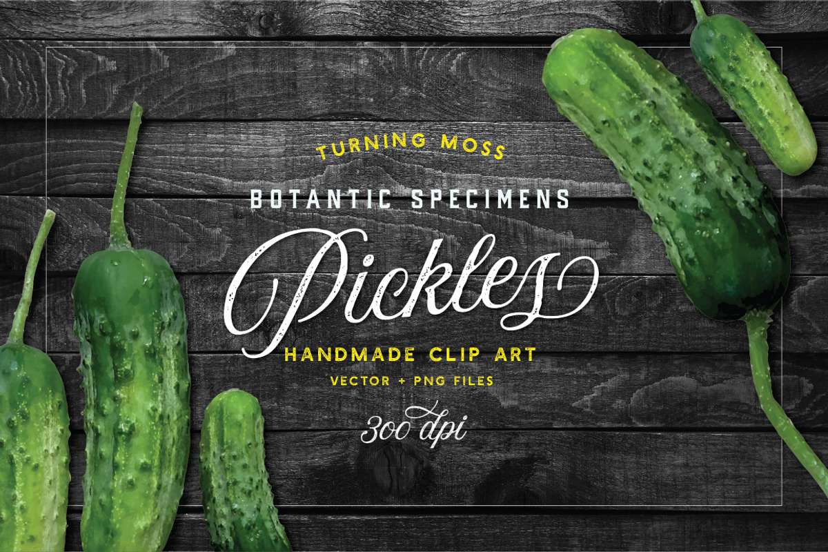 Pickle Vector - Botanic Specimens, an Object Graphic by Turning Moss (Photo 1 of 4)