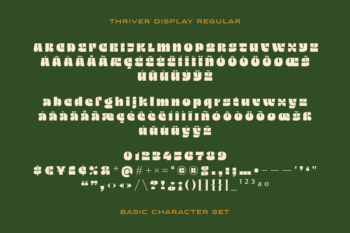 Thriver – Retro Display Font Family, a Sans Serif Font by SNI Typeworks (Photo 3 of 11)