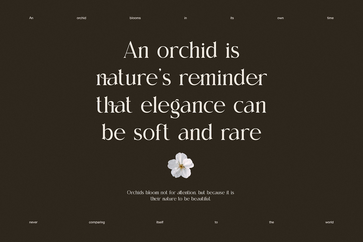 Gimen Elegant Ligature Serif Font, a Serif Font by Perfectype (Photo 5 of 8)