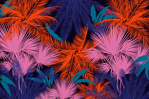 Tropical Background Collection