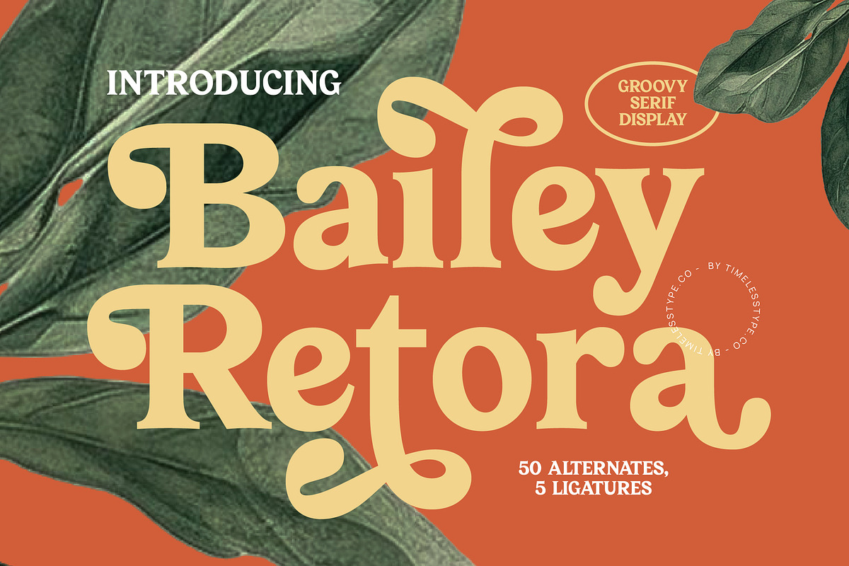Bailey Retora Groovy Retro Serif, a Serif Font by timelesstype.co (Photo 1 of 20)
