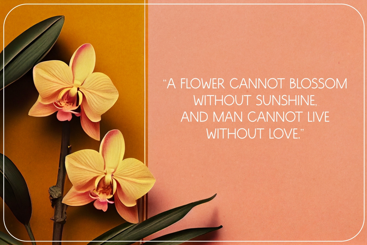 340 Cinematic Anderson Flowers, a Graphic by Nocturnal Wolf (Photo 10 of 25)