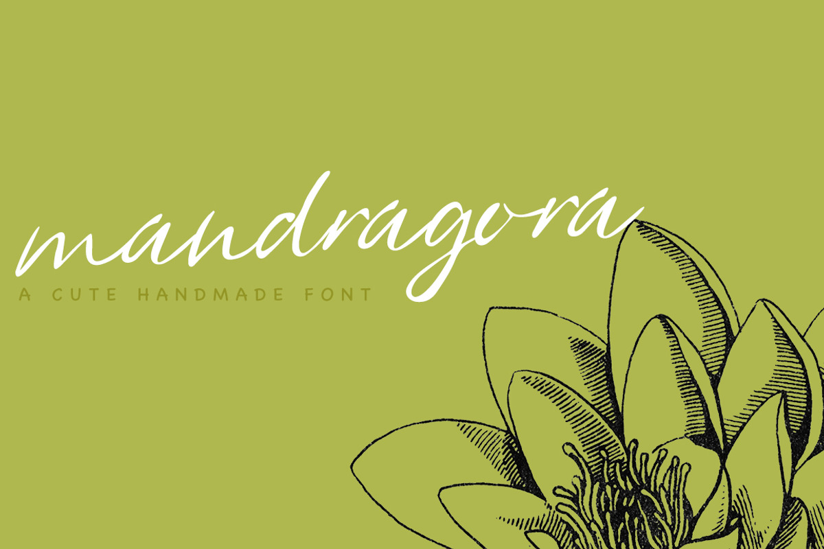 Mandragora, a Script Font by Katie Holland (Photo 1 of 6)